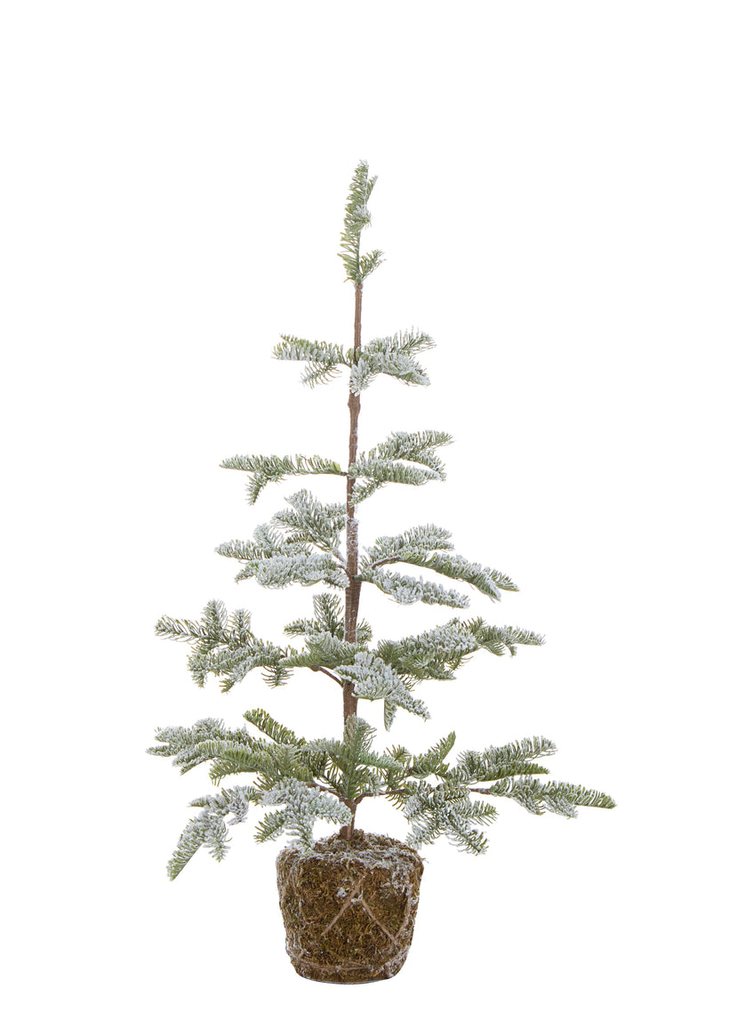 ΧΡΙΣΤΟΥΓΕΝΝΙΑΤΙΚΟ ΔΕΝΤΡΑΚΙ ΜΕ ΧΙΟΝΙ Η85