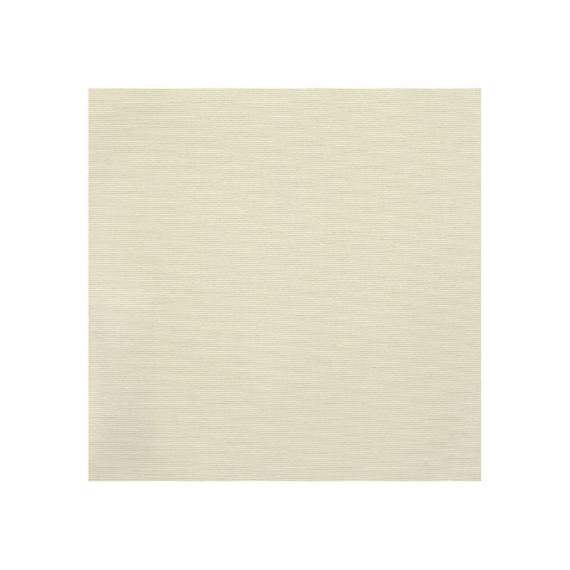 Σκίαστρο Roller Plain Μερικής Συσκότισης Λευκό 1002