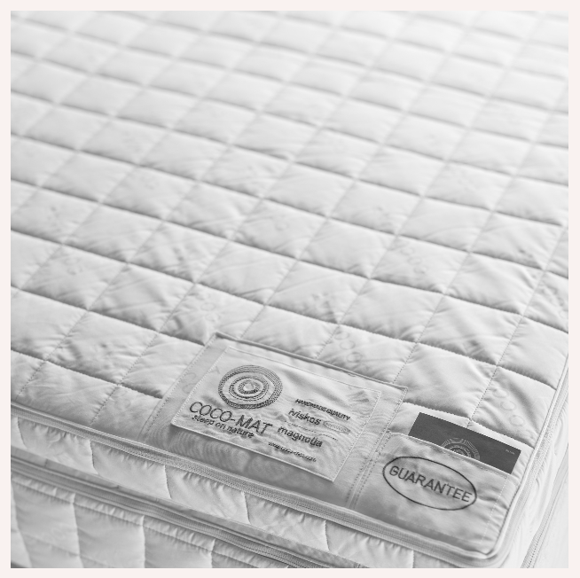 ΑΝΩΣΤΡΩΜΑ ΙΒΙΣΚΟΣ