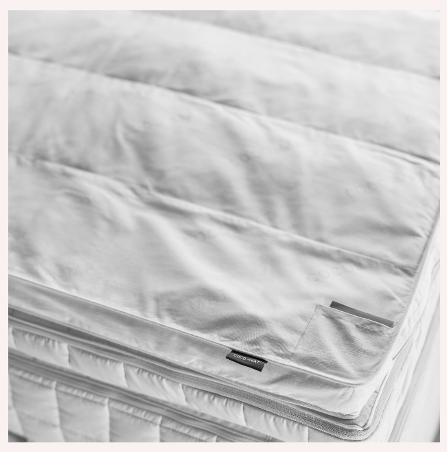 ΑΝΩΣΤΡΩΜΑ ΚΑΜΕΛΙΑ