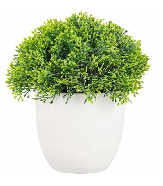 ΤΕΧΝΗΤΟ ΦΥΤΟ CORYN ΣΕ ΓΛΑΣΤΡΑ 14Χ16 0172795