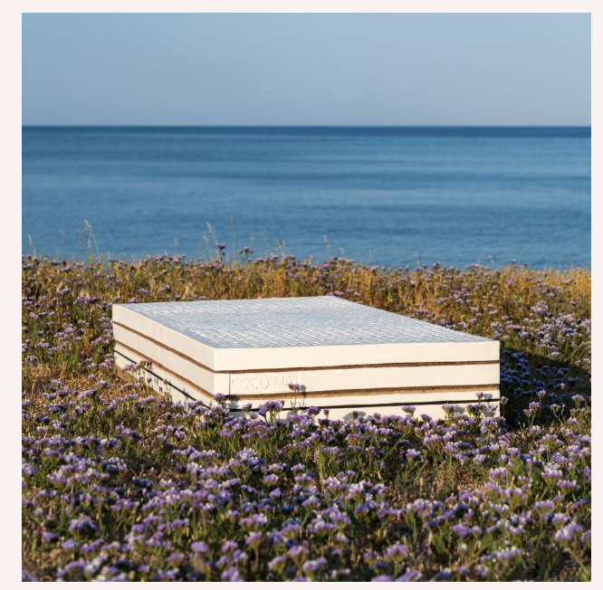 ΣΤΡΩΜΑ ΠΡΩΤΕΑΣ