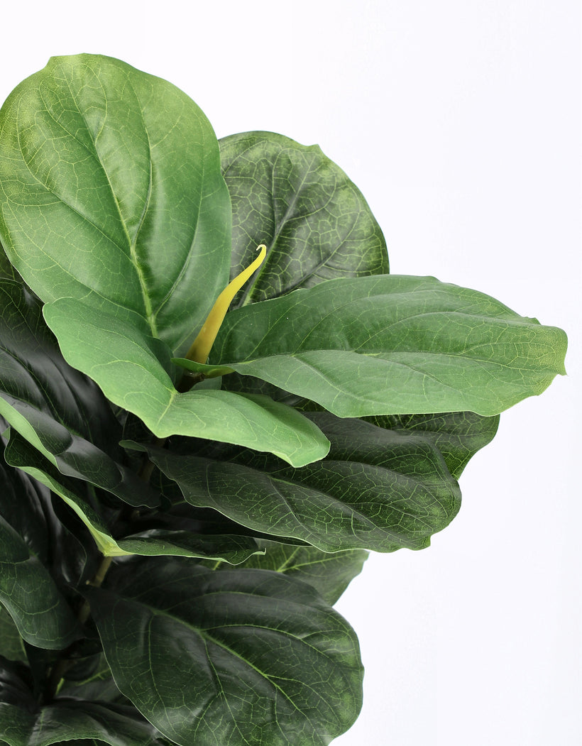 Bizzotto Τεχνητό Φυτό Ficus Lyrata σε Γλάστρα με 72 Φύλλα Ύψος 120cm (55x45x120h) 0172843