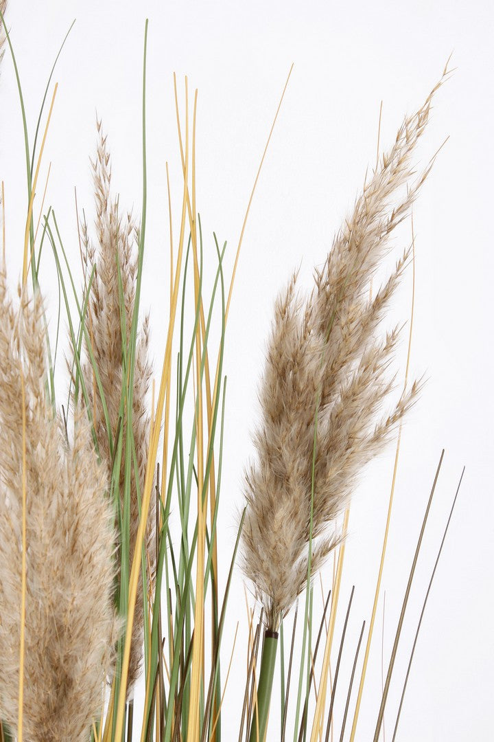 Bizzotto Διακοσμητικό Κλαδί Pampas Gynerium 22.8x100h 0173028