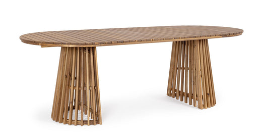 0806918 RODANO OV TABLE 220X100-FSC