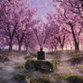 ZOE - SAKURA RAIN ΑΡΩΜΑΤΙΚΟ ΧΩΡΟΥ 100ml 6.4x6.4x23.3cm ΓΥΑΛΙ ΑΡΩΜΑΤΙΚΟ ΥΓΡΟ SKU 240-0005