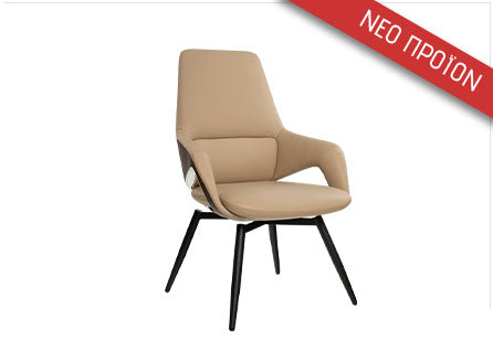 Κάθισμα Συνεργασίας Tholos V