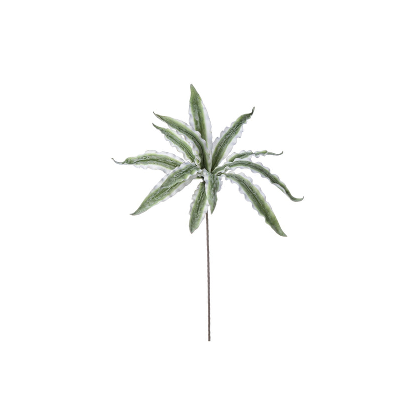 Bizzotto Κλαδί Aloe Λευκό/Πράσινο 40x40x98 0172595
