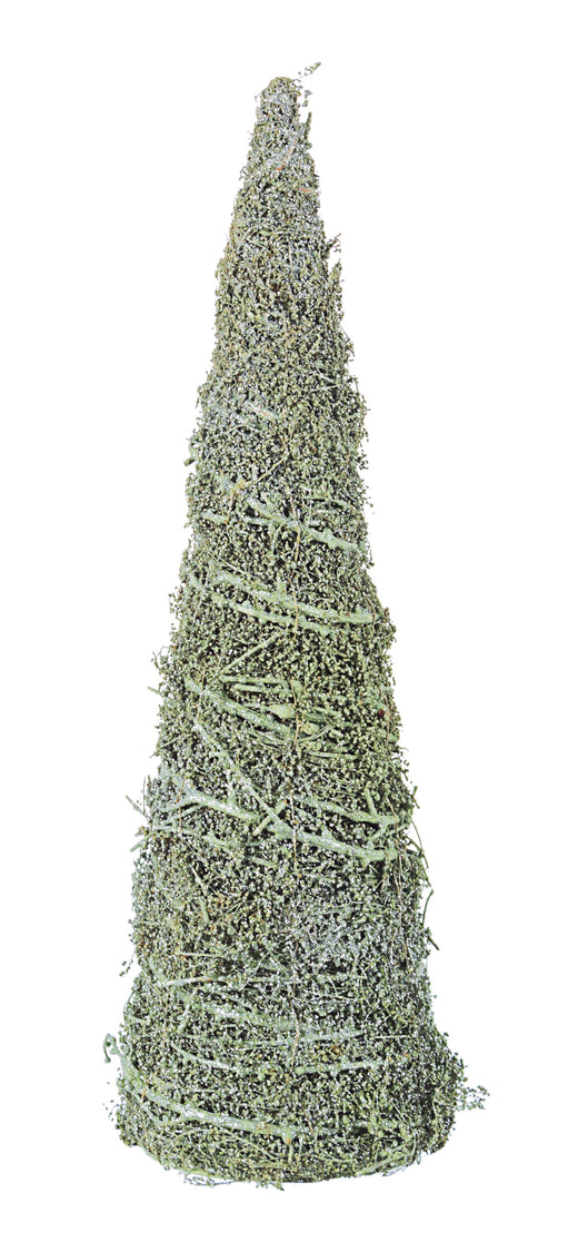 ΔΕΝΤΡΟ ΚΩΝΙΚΟ ΠΡΑΣΙΝΟ ΧΡΙΣΤΟΥΓΕΝΝΙΑΤΙΚΟ