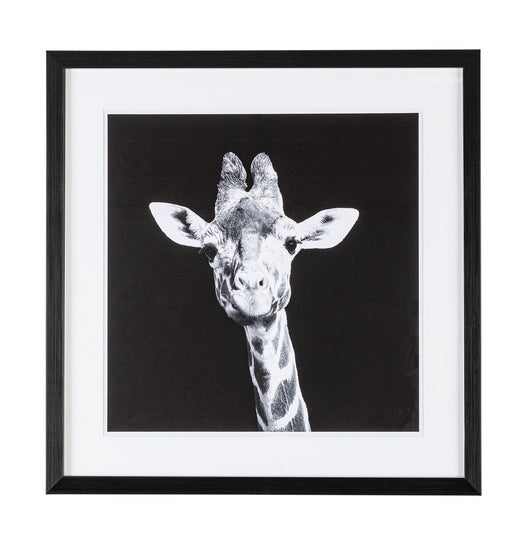 ΠΙΝΑΚΑΣ ΒΙΖΖΟΤΤΟ EVIDENCE 107  W-F 49X49 0240881