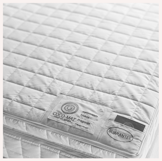 ΑΝΩΣΤΡΩΜΑ ΙΒΙΣΚΟΣ